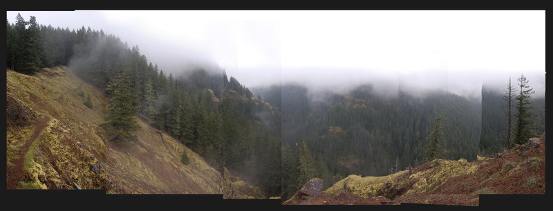Canyon overlook - it looks much better than this picture suggests. A tiny white dot in the center is one of the waterfalls on Salmon River.